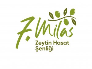 7.Milas Zeytin Hasat Şenliği’ne Sayılı Günler Kaldı