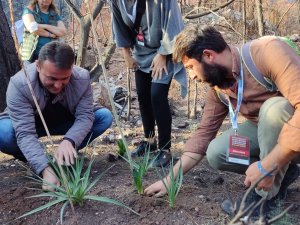 Marmaris Belediyesi ve Ahbap Platformu Yanan Orman Alanlarını İnceledi