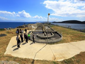 Büyükşehir, Gümüşlük ve Gümbet’in 60 bin kişilik arıtma kapasitesini 200 bin Kişiye Yükseltiyor