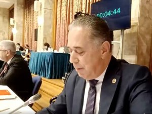 CHP'li Özcan: Muğla'da da kıyıları, yeşili betonla kaplamak ve örtmek istiyorsunuz