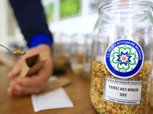 Büyükşehir Tohum Dağıtımına 1 Şubat’ta Başlıyor