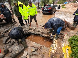 TIKALI KANALLARDAN TOMRUK ÇIKTI