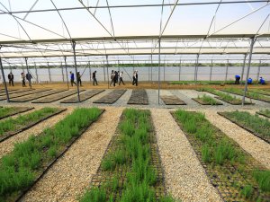 Büyükşehir Yağmur Hasadıyla Yılda 300 Ton Su Tasarrufu Sağlıyor