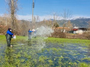 Büyükşehir’den Karabağlar Yaylası’nda Vektörle Mücadele