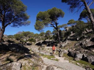 Uluslararası Latmos koşusu tamamlandı