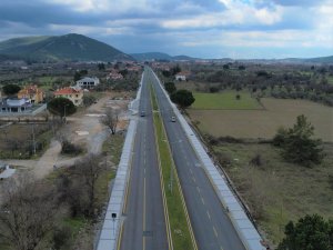 Ula’da Ağaçlandırma Çalışmaları Tamamlandı