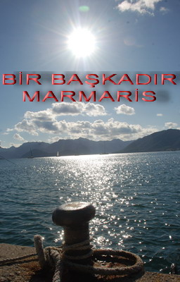 Güpe gündüz yakamoz