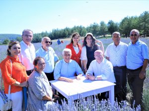 Büyükşehir Lavanta Şenliği başladı