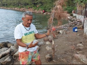 Salih Yazgan: Ormanı Yakan Bayrağımızı Yakmış Gibidir