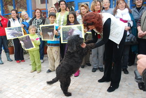 Köpekleri sokağa atıyorlar