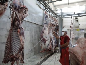 Büyükşehir Tesislerinde Hijyenik Koşullarda Sağlıklı Et Elde Ediliyor