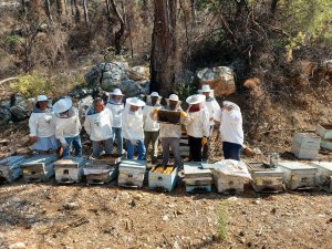 Temel Arıcılık Eğitimi Tamamlandı
