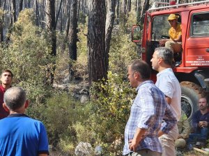 CHP’li Erbay; Orman yangınlarına karşı bilimsel çalışma yapılmalı 