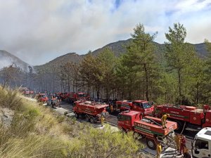 Marmaris’te Yalancıboğaz mevkisinde orman yangını! Rüzgar etkili, müdahale ediliyor