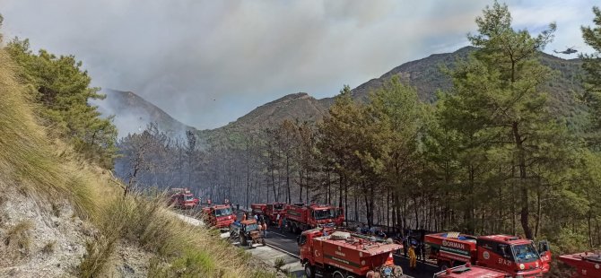 Marmaris’te Yalancıboğaz mevkisinde orman yangını! Rüzgar etkili, müdahale ediliyor