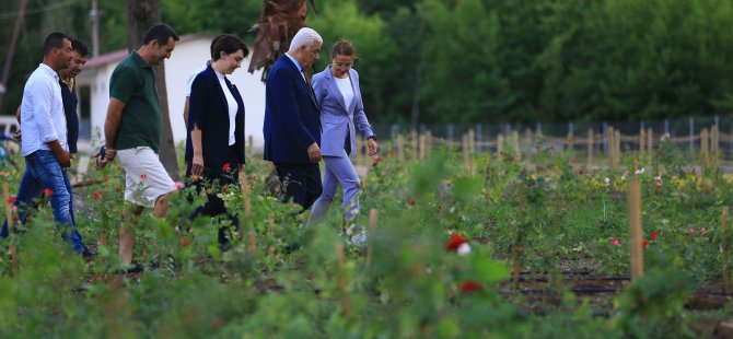 Başkan Gürün Tıbbi Bitkiler Koleksiyon Bahçesi’ni İnceledi