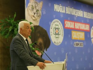 Büyükşehir’den Candostlar için Sokak Hayvanları Çalıştayı