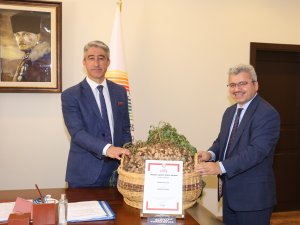 MARMARİS’İN YER FISTIĞI COĞRAFİ ALDI