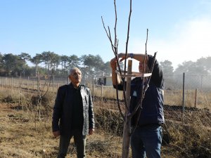 Büyükşehir Üreticinin Her Adımında Yanında