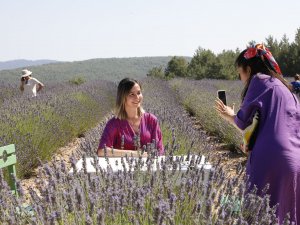 Lavanta Bahçesi’ne Ziyaretçi Akını