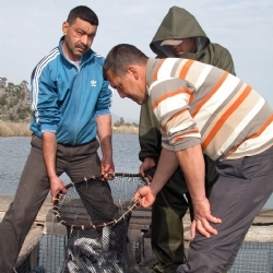Balık Bereketi Yaşanıyor