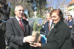 Muğla'da 15 Bin Fidan Dağıtıldı