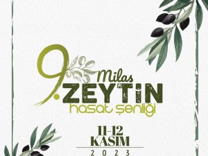 9. MİLAS ZEYTİN HASAT ŞENLİĞİ HEYECANI BAŞLIYOR