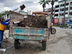 FIRTINAYLA GELEN ATIKLAR TEMİZLENDİ