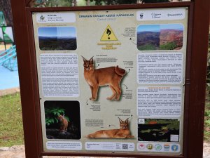 KARAKULAKLARIN CANI YANMASIN!