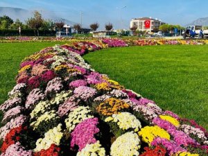 Büyükşehir Yeşil Alan Miktarını İl genelinde Yüzde 92 Arttırdı