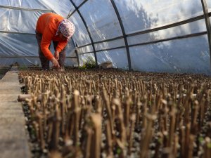 MARMARİS’TE BÜYÜK TASARRUF