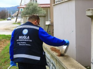 Büyükşehir Can Dostlar İçin Mama Üretiyor