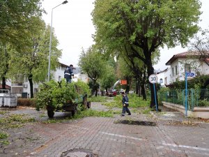 MARMARİS’TE BİTKİLERE KIŞ BAKIMI