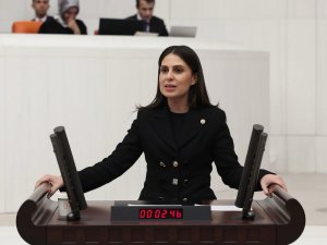 Özcan, Dalaman, Ortaca ve Köyceğiz’deki narenciye üreticilerinin sorunlarını Meclis’e taşıdı