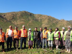 Marmaris Yeşiline Kavuşuyor