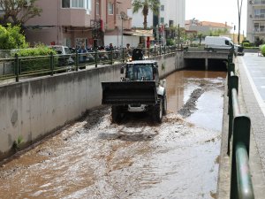 DERELERDE KAPSAMLI TEMİZLİK