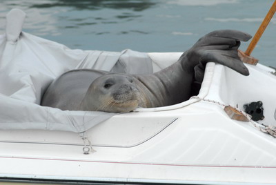 Aylık 'mutfak masrafı' 10 bin TL!