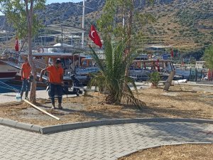 SÖĞÜT PİRİ REİS PARKI YENİLENİYOR