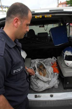 Polis Olayların Önüne geçemedi