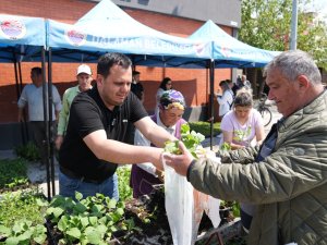 Dalaman’da Ata Tohumlu Fide Dağıtımı: 18 Bin Fide Vatandaşla Buluştu
