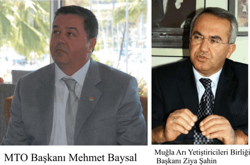 Ballı tartışma