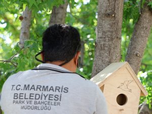 MARMARİS BELEDİYESİ’NDEN DOĞA İÇİN ANLAMLI PROJE