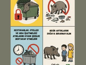 MARMARİS BELEDİYESİ’NDEN YABAN DOMUZLARINA KARŞI UYARI