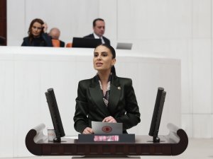 Özcan, Dalaman Çayı’ndaki su tahsisini Meclis gündemine taşıdı:  “Suyu başka havzaya taşımak ekolojik yıkımı büyütür”