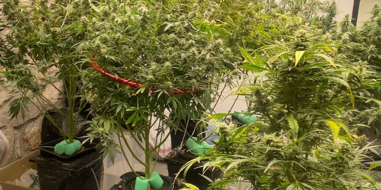 MUĞLA’DA UYUŞTURUCU OPERASYONU: 5 KİŞİ TUTUKLANDI