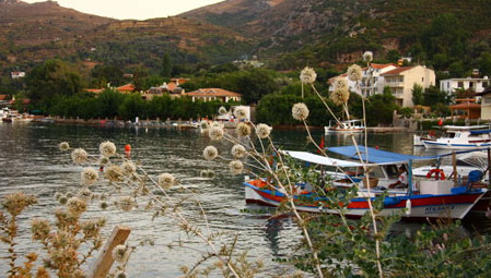 Berlin Deutsch (Alman) Operası