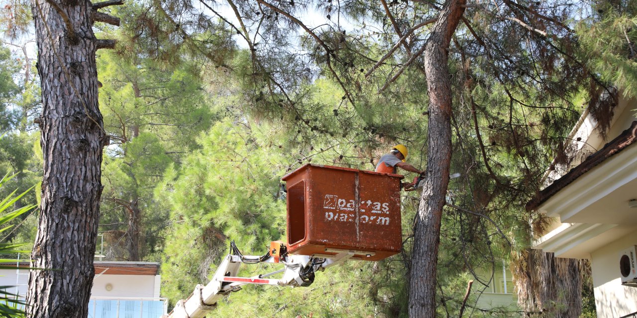 MARMARİS BELEDİYESİ’NDEN SONBAHAR ÖNLEMİ