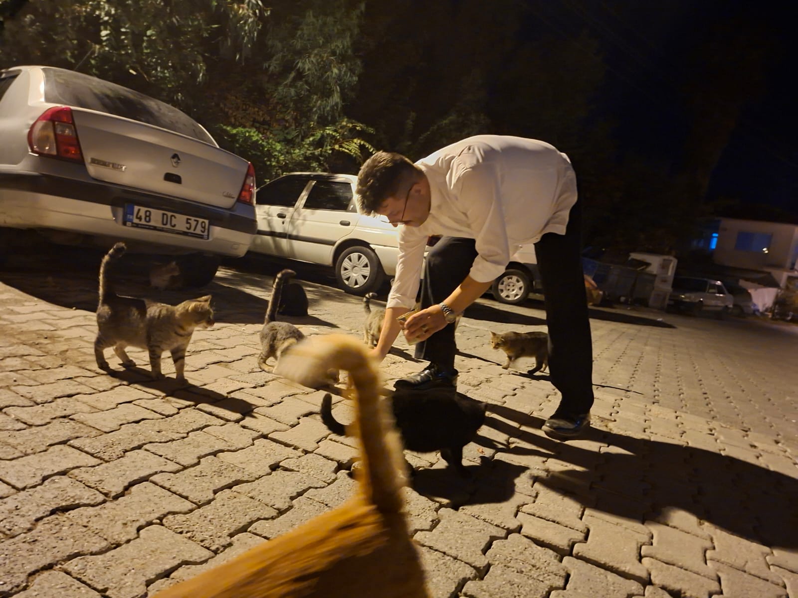 MHP Muğla Teşkilatı 13 İlçede Hayvanları Koruma Etkinlikleri Düzenledi