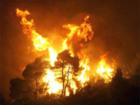Marmaris'te Orman Yangını