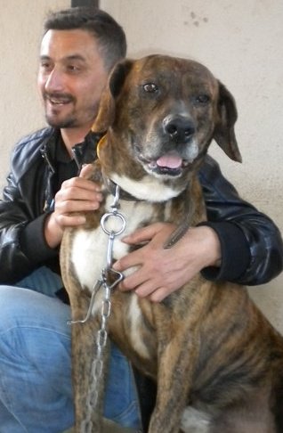 Temel Irmak Dostunu kaybetti